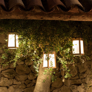 Tecka solar lantern hanging on tree