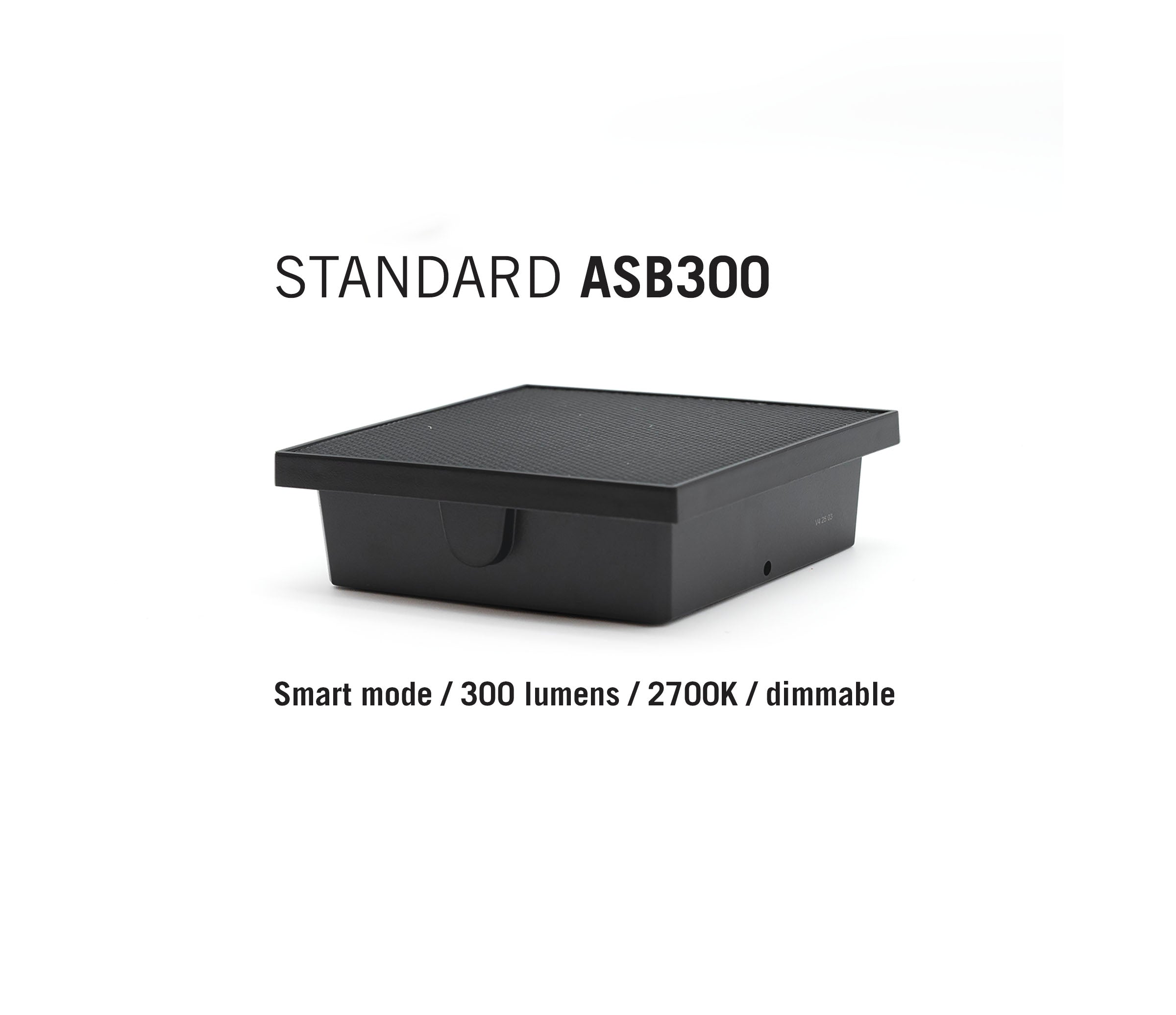ASB300