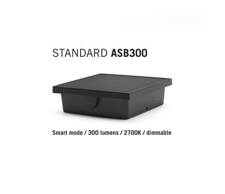 ASB300