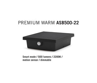 ASB500-22