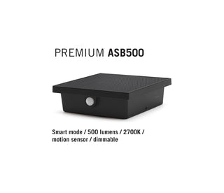 ASB500