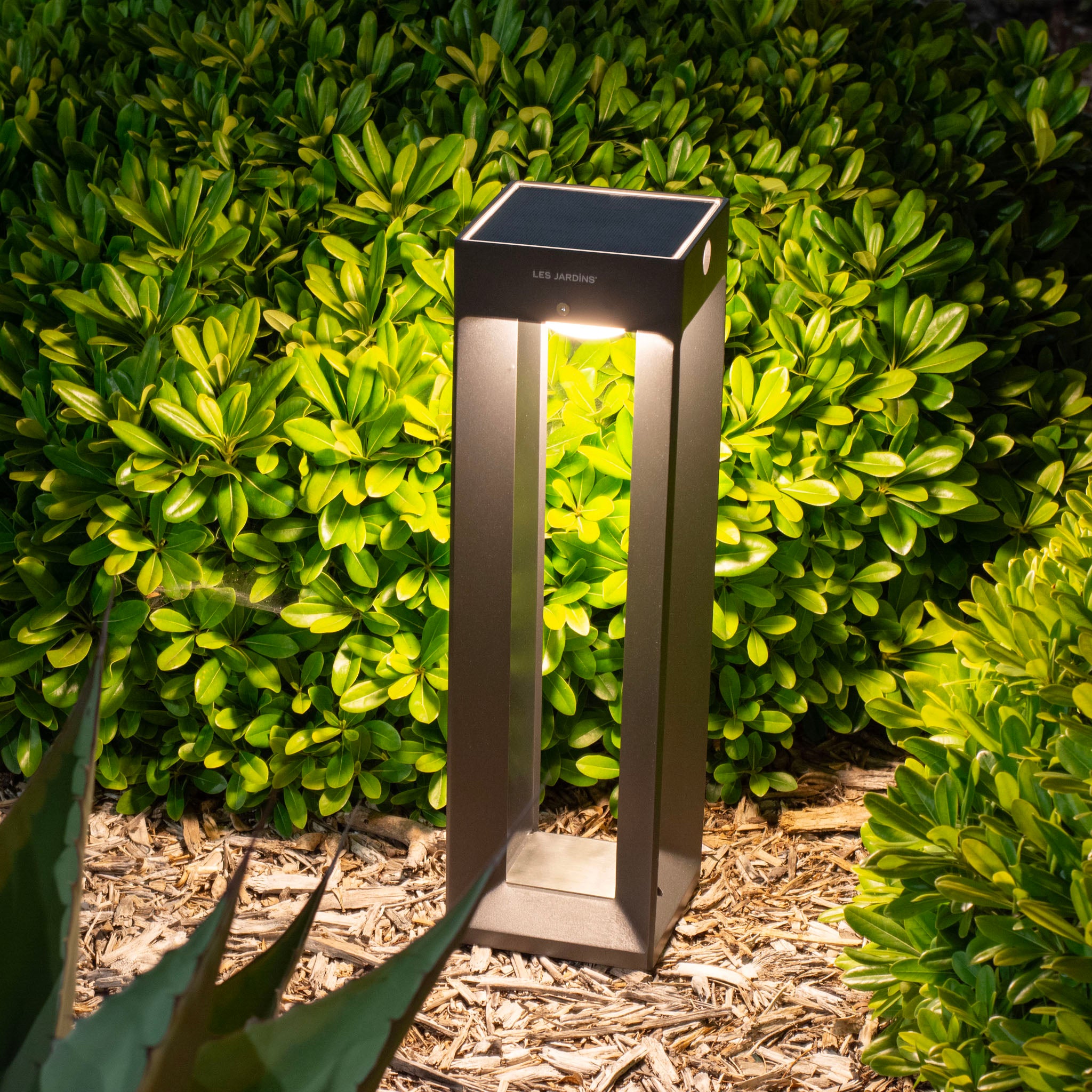 Faro small light up outdoor garden plants