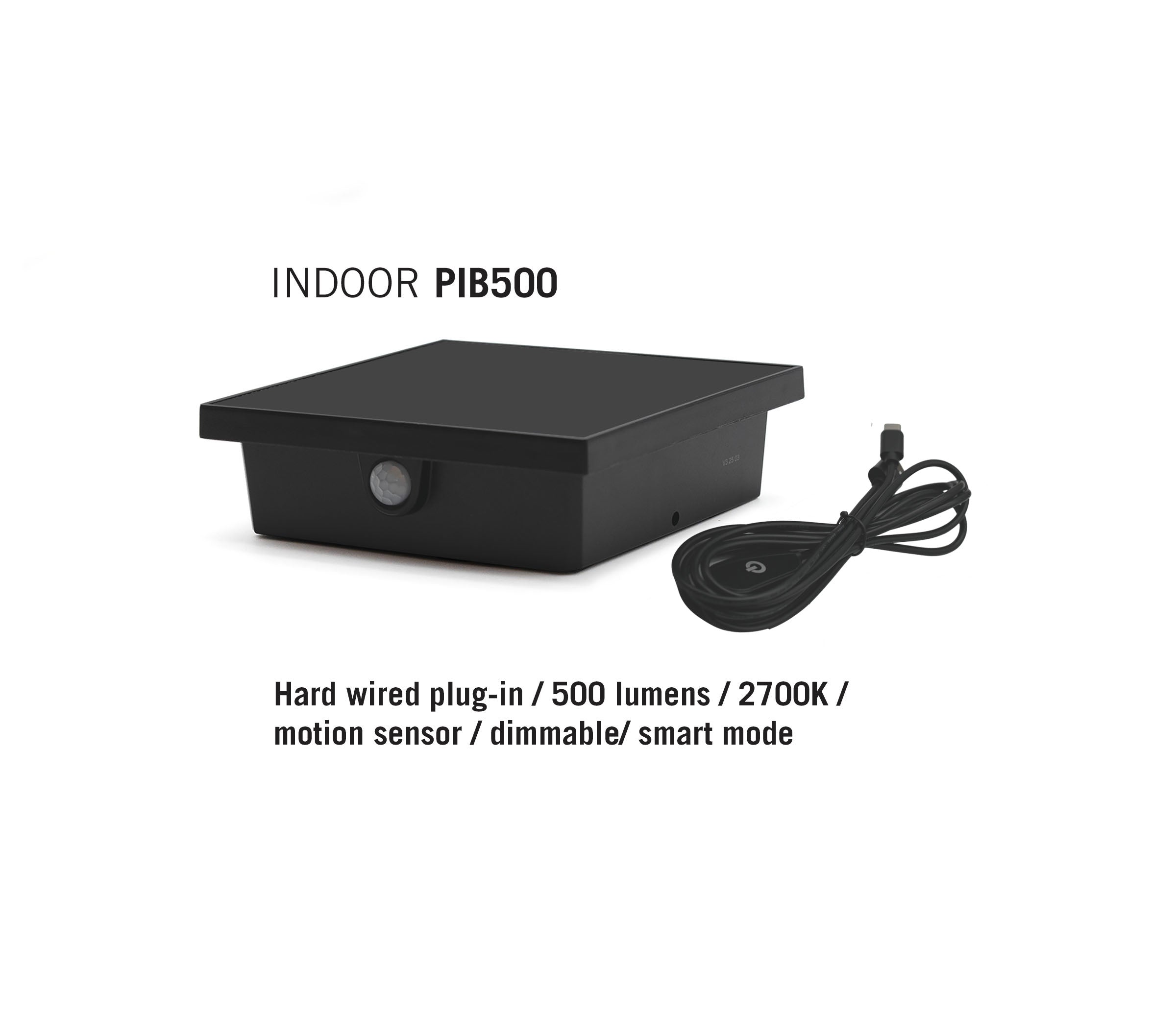 PIB500