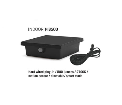 PIB500