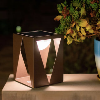 TEATREE table light