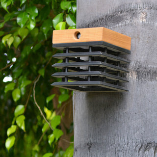 Tekura sconce teak solar light mount on tree